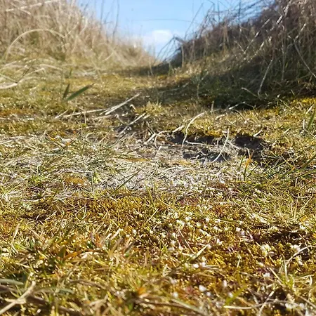 Holiday home 6 Person In Sydals-by Traum