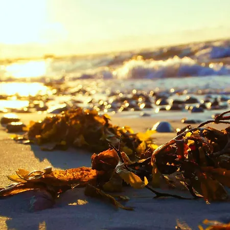 6 Person In Sydals-by Traum Nedre Lysabild