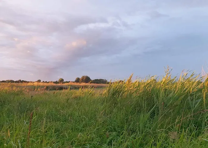 Prázdninový dům 6 Person In Sydals-by Traum Nedre Lysabild