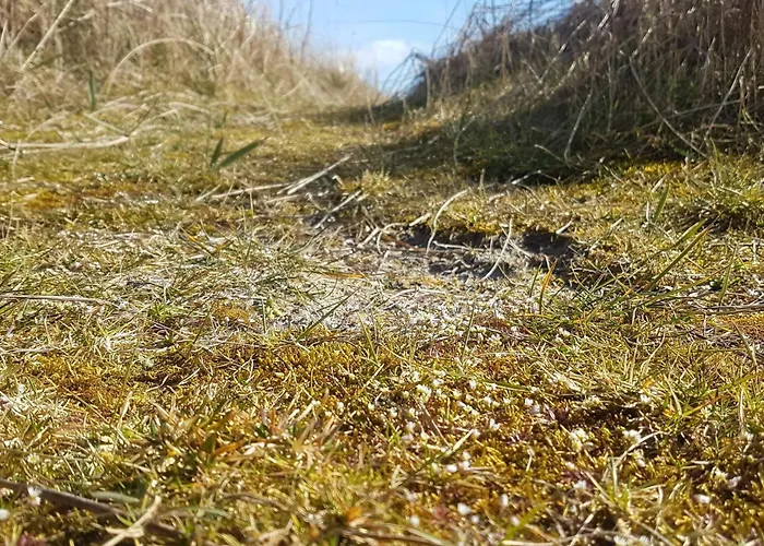 Prázdninový dům 6 Person In Sydals-by Traum