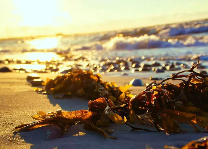 6 Person In Sydals-by Traum Nedre Lysabild