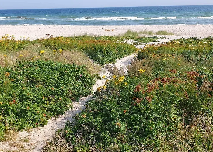 6 Person In Sydals-by Traum *